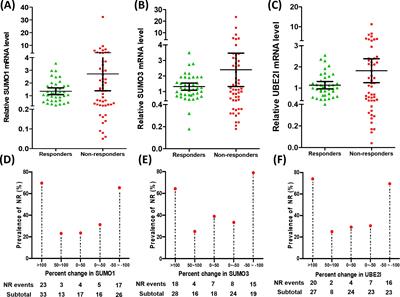 Dysregulated gene expression of SUMO machinery components induces the resistance to anti-PD-1 immunotherapy in lung cancer by upregulating the death of peripheral blood lymphocytes